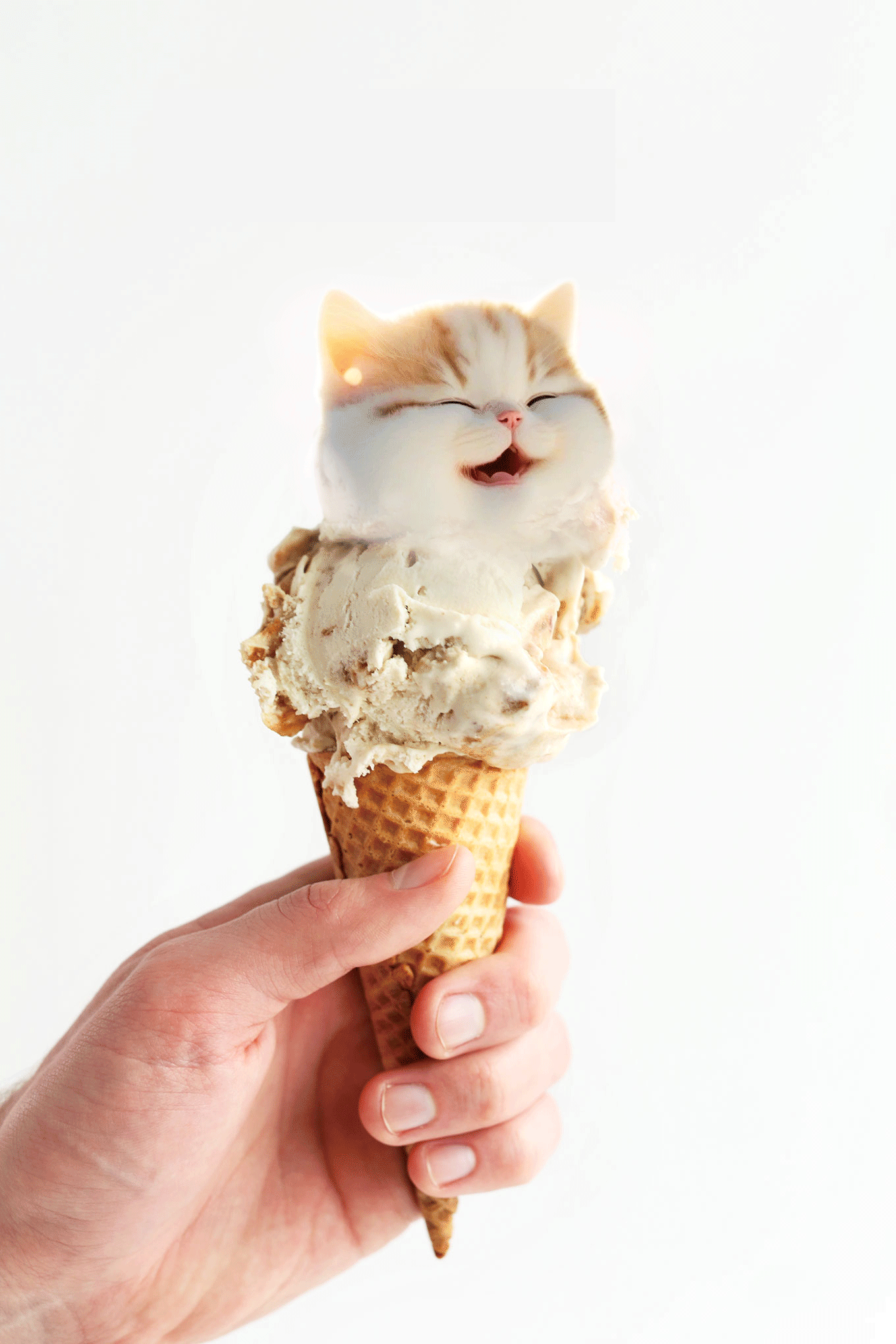 Cat Cream